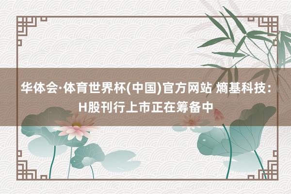 华体会·体育世界杯(中国)官方网站 熵基科技：H股刊行上市正在筹备中