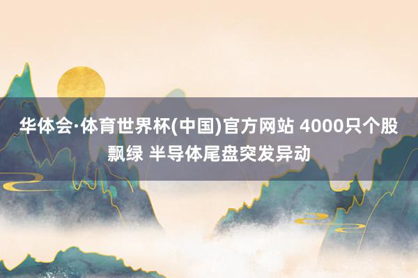 华体会·体育世界杯(中国)官方网站 4000只个股飘绿 半导体尾盘突发异动