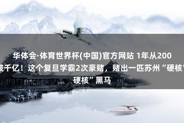 华体会·体育世界杯(中国)官方网站 1年从200亿冲破千亿！这个复旦学霸2次豪赌，赌出一匹苏州“硬核”黑马