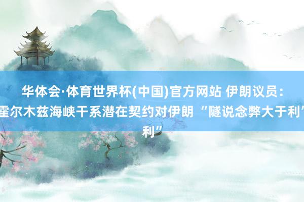 华体会·体育世界杯(中国)官方网站 伊朗议员：霍尔木兹海峡干系潜在契约对伊朗 “隧说念弊大于利”