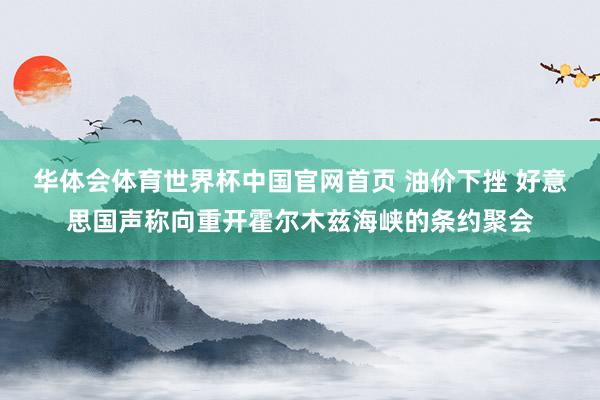 华体会体育世界杯中国官网首页 油价下挫 好意思国声称向重开霍尔木兹海峡的条约聚会