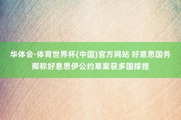 华体会·体育世界杯(中国)官方网站 好意思国务卿称好意思伊公约草案获多国撑捏
