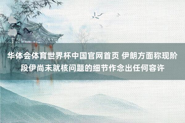 华体会体育世界杯中国官网首页 伊朗方面称现阶段伊尚未就核问题的细节作念出任何容许