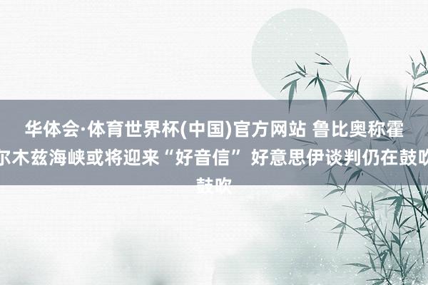华体会·体育世界杯(中国)官方网站 鲁比奥称霍尔木兹海峡或将迎来“好音信” 好意思伊谈判仍在鼓吹