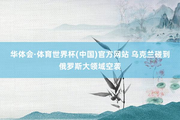 华体会·体育世界杯(中国)官方网站 乌克兰碰到俄罗斯大领域空袭
