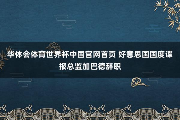 华体会体育世界杯中国官网首页 好意思国国度谍报总监加巴德辞职