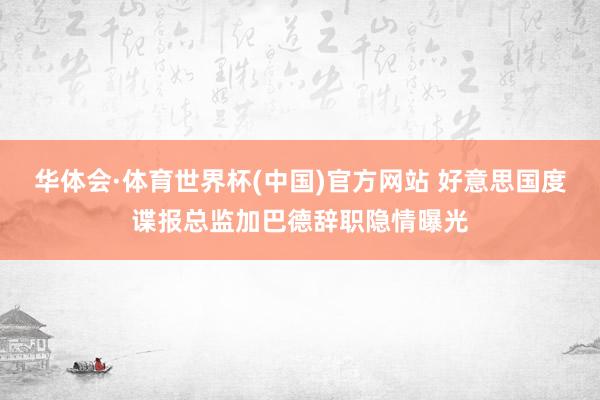华体会·体育世界杯(中国)官方网站 好意思国度谍报总监加巴德辞职隐情曝光