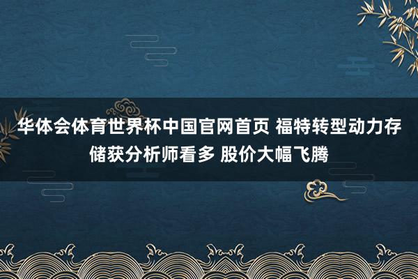 华体会体育世界杯中国官网首页 福特转型动力存储获分析师看多 股价大幅飞腾