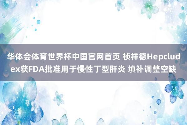 华体会体育世界杯中国官网首页 祯祥德Hepcludex获FDA批准用于慢性丁型肝炎 填补调整空缺