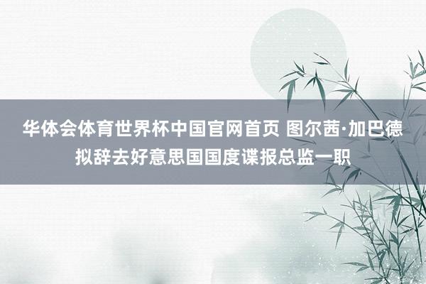 华体会体育世界杯中国官网首页 图尔茜·加巴德拟辞去好意思国国度谍报总监一职