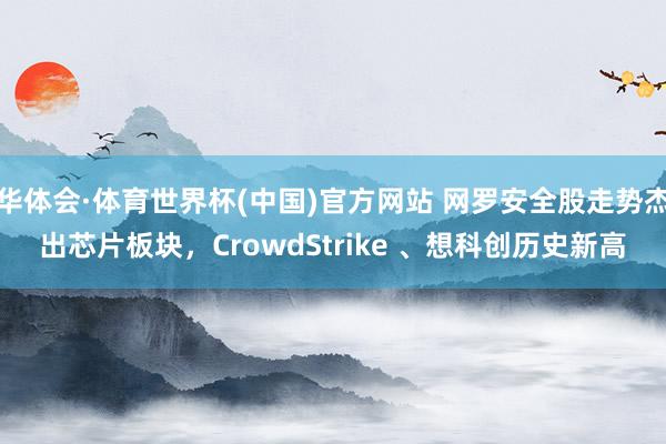 华体会·体育世界杯(中国)官方网站 网罗安全股走势杰出芯片板块，CrowdStrike 、想科创历史新高