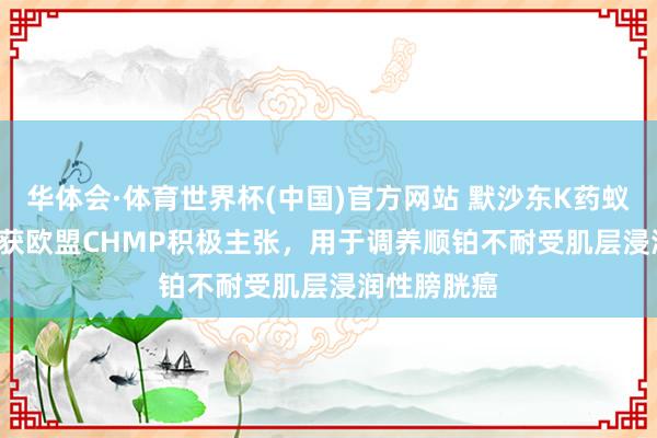 华体会·体育世界杯(中国)官方网站 默沙东K药蚁集Padcev获欧盟CHMP积极主张，用于调养顺铂不耐受肌层浸润性膀胱癌