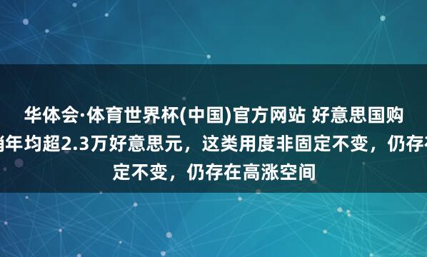 华体会·体育世界杯(中国)官方网站 好意思国购房稀奇开销年均超2.3万好意思元，这类用度非固定不变，仍存在高涨空间