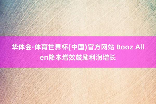 华体会·体育世界杯(中国)官方网站 Booz Allen降本增效鼓励利润增长