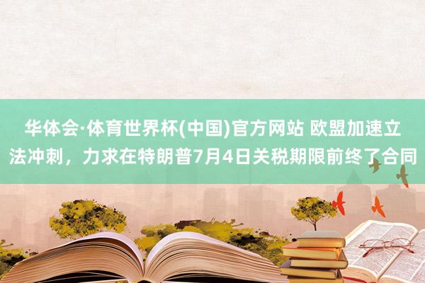 华体会·体育世界杯(中国)官方网站 欧盟加速立法冲刺，力求在特朗普7月4日关税期限前终了合同