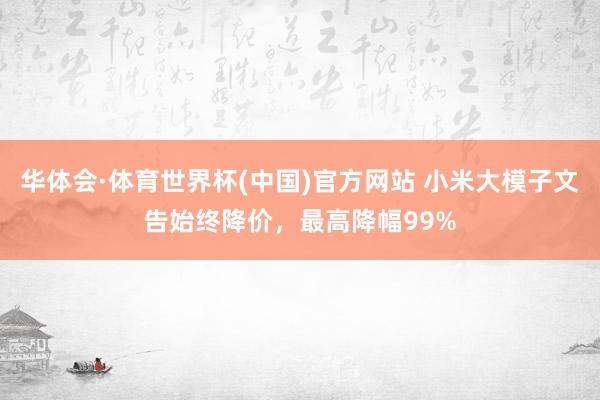 华体会·体育世界杯(中国)官方网站 小米大模子文告始终降价，最高降幅99%
