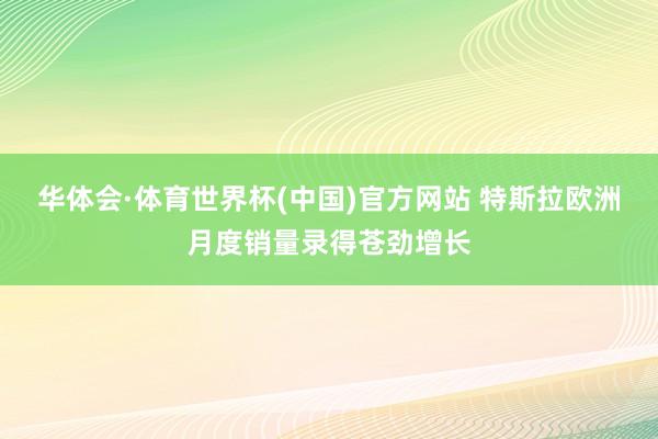 华体会·体育世界杯(中国)官方网站 特斯拉欧洲月度销量录得苍劲增长