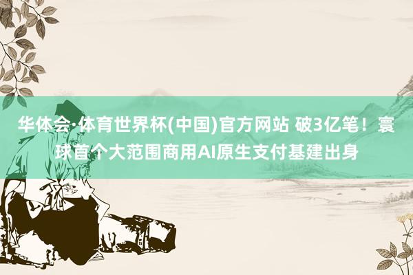 华体会·体育世界杯(中国)官方网站 破3亿笔！寰球首个大范围商用AI原生支付基建出身