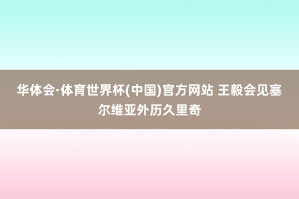 华体会·体育世界杯(中国)官方网站 王毅会见塞尔维亚外历久里奇