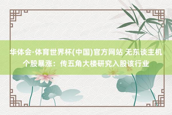 华体会·体育世界杯(中国)官方网站 无东谈主机个股暴涨：传五角大楼研究入股该行业