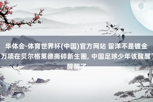 华体会·体育世界杯(中国)官方网站 留洋不是镀金! 万项在贝尔格莱德撕碎新生圈, 中国足球少年该醒醒了