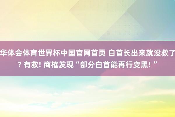 华体会体育世界杯中国官网首页 白首长出来就没救了? 有救! 商榷发现“部分白首能再行变黑! ”