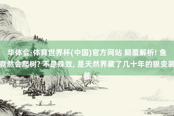 华体会·体育世界杯(中国)官方网站 颠覆解析! 鱼竟然会爬树? 不是殊效, 是天然界藏了几十年的狠变装