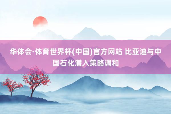 华体会·体育世界杯(中国)官方网站 比亚迪与中国石化潜入策略调和