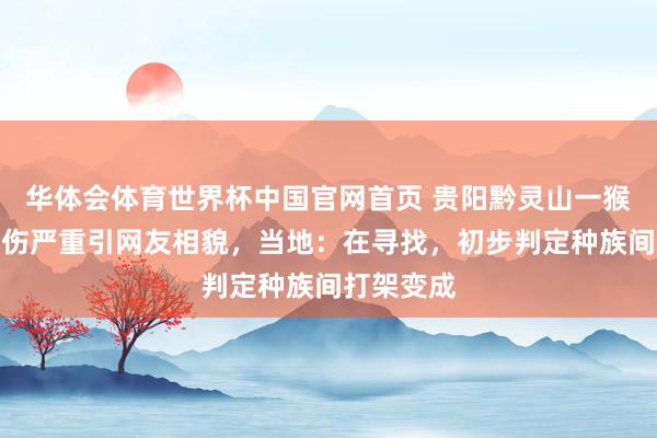 华体会体育世界杯中国官网首页 贵阳黔灵山一猴子脸部受伤严重引网友相貌，当地：在寻