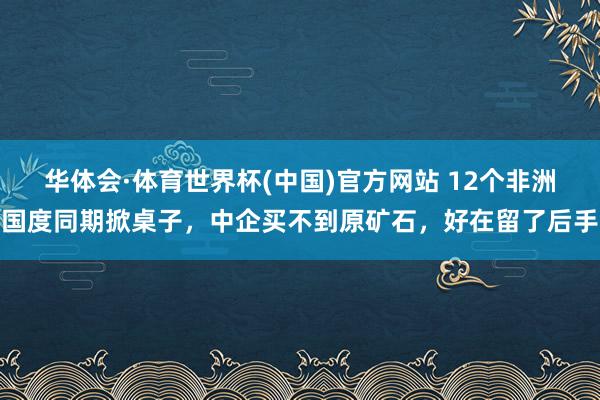 华体会·体育世界杯(中国)官方网站 12个非洲国度同期掀桌子，中企买不到原矿石，好在留了后手