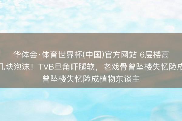 华体会·体育世界杯(中国)官方网站 6层楼高吊威亚仅垫几块泡沫!TVB旦角吓腿软,老戏骨曾坠楼失忆险成植物东谈主