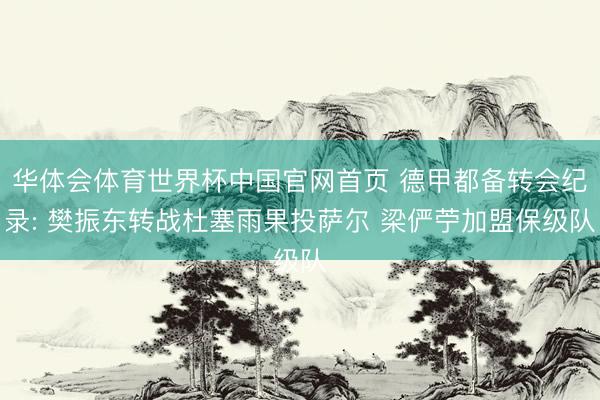 华体会体育世界杯中国官网首页 德甲都备转会纪录: 樊振东转战杜塞雨果投萨尔 梁俨苧加盟保级队