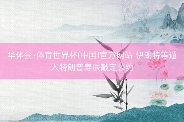 华体会·体育世界杯(中国)官方网站 伊朗特等遁入特朗普寿辰敲定公约