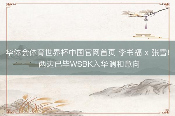 华体会体育世界杯中国官网首页 李书福 x 张雪! 两边已毕WSBK入华调和意向